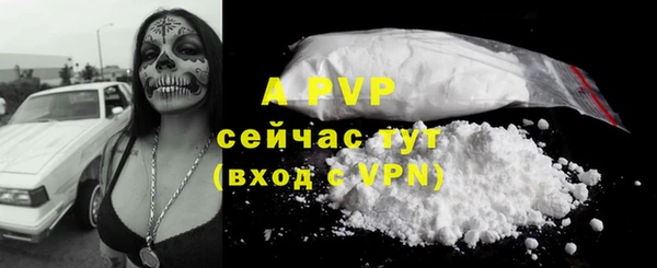хмурый Строитель