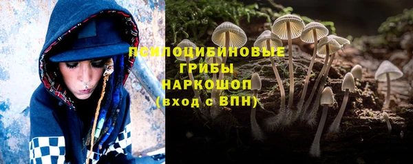 хмурый Строитель