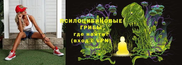 хмурый Строитель
